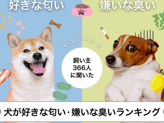 e5b08fe59e8be78aace3818ce5ab8ce3828fe3828ce3828be79086e794b1e381a8e381aae38293je381a7e381aee6848fe8a68be381bee381a8e38281 小型犬が嫌われる理由となんJでの意見まとめ